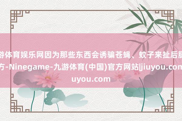 九游体育娱乐网因为那些东西会诱骗苍蝇、蚊子来扯后腿我方-Ninegame-九游体育(中国)官方网站|jiuyou.com