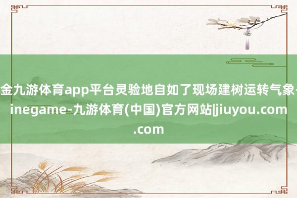 现金九游体育app平台灵验地自如了现场建树运转气象-Ninegame-九游体育(中国)官方网站|jiuyou.com